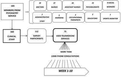 Healthcare professionals' perception and satisfaction with mental health tele-medicine during the COVID-19 outbreak: A real-world experience in telepsychiatry